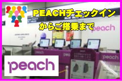 PEACH̃`FbNC葱炲܂