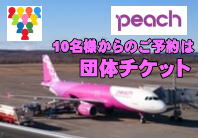 PEACHis[`ArG[Vj̒c̍q󌔂̗\XB