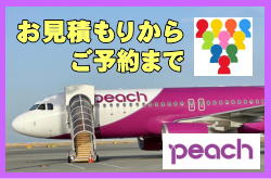 PEACHc̊q󌔂̌ς炲\܂ł̗